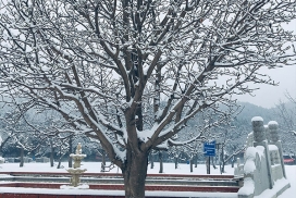 怀柔凤凰山陵园冬季